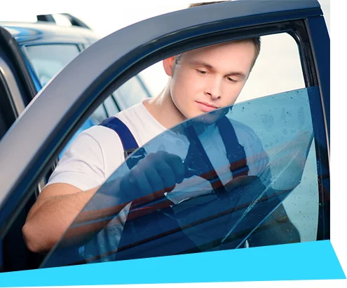 polarizado para autos
